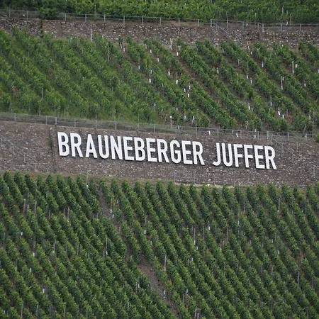 The Wine Cellar In The Old Gemeinde House Brauneberg Exterior photo