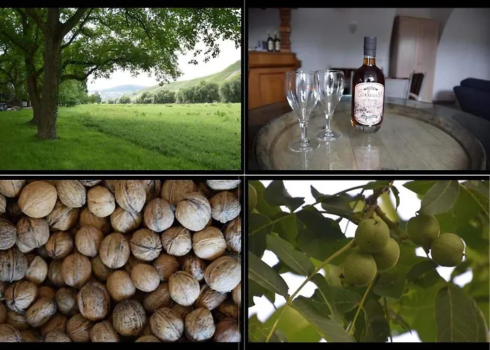 The Wine Cellar In The Old Gemeinde House